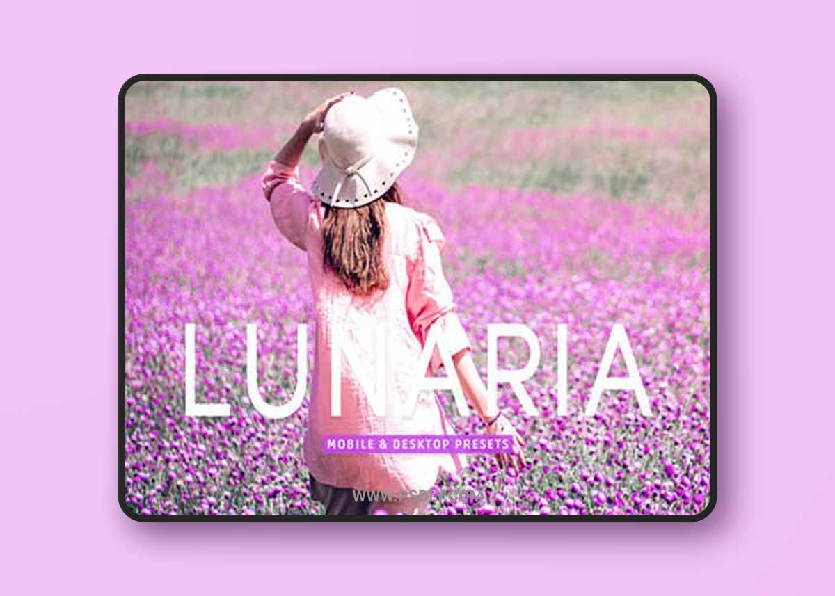 Lunaria Pro Lightroom Prese