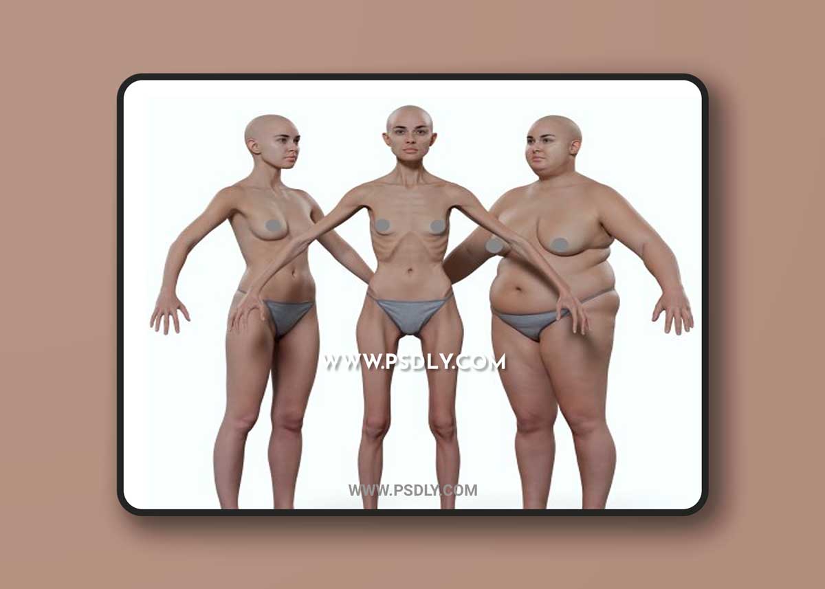 Morphable Female Base Mesh