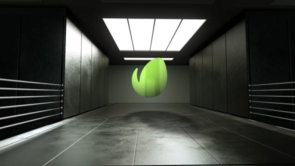 Videohive Company Logo 36471472