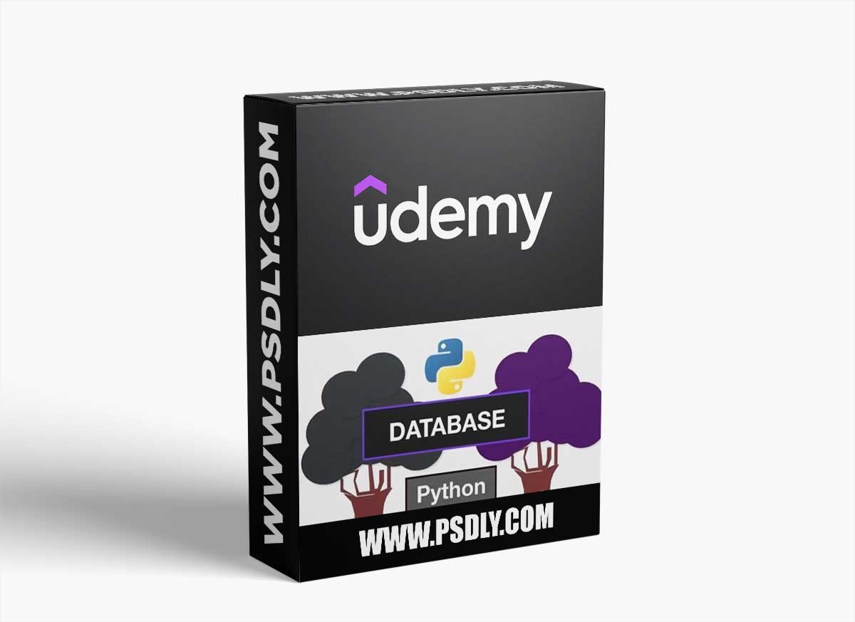 Python Database: Quickly learn Python Database