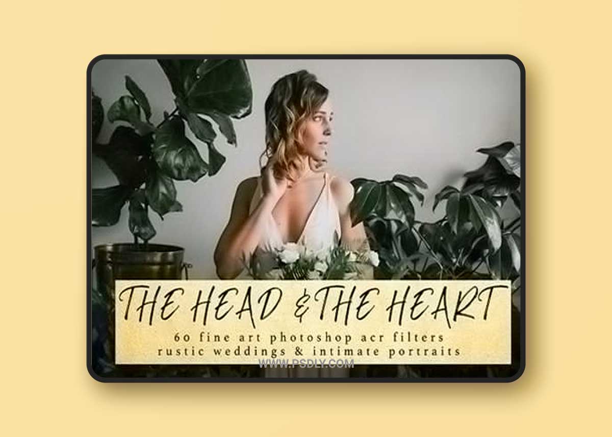 The Head and The Heart Photoshop ACRs