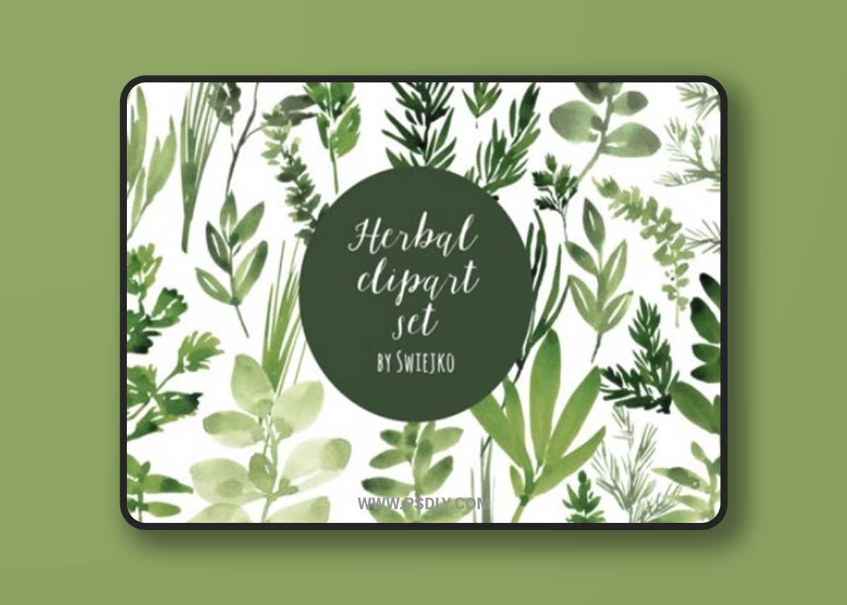 Watercolor Herbs, Basil, Oregano, Mint 1588182