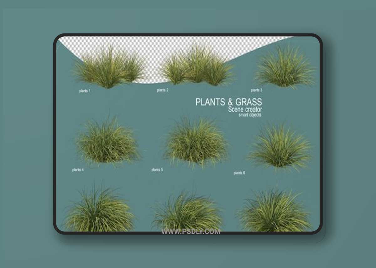 3d rendering of grass and shrub psd 3D Model
