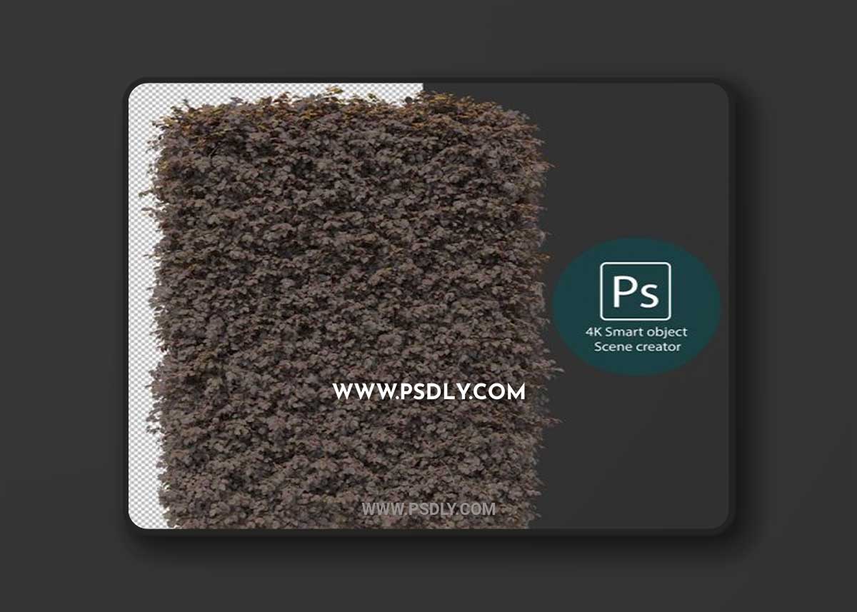 3d rendering various types of bush and hedges 03