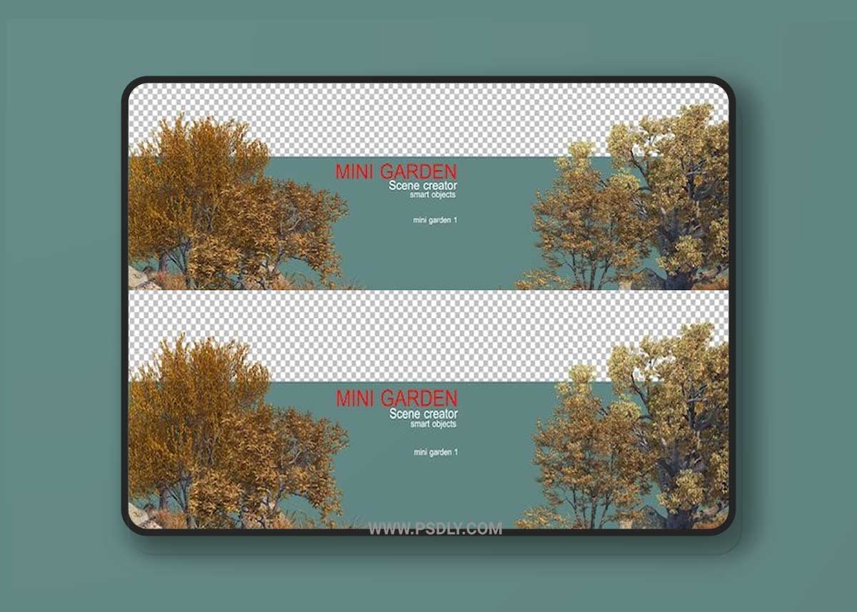 A small garden with a variety of plants 03