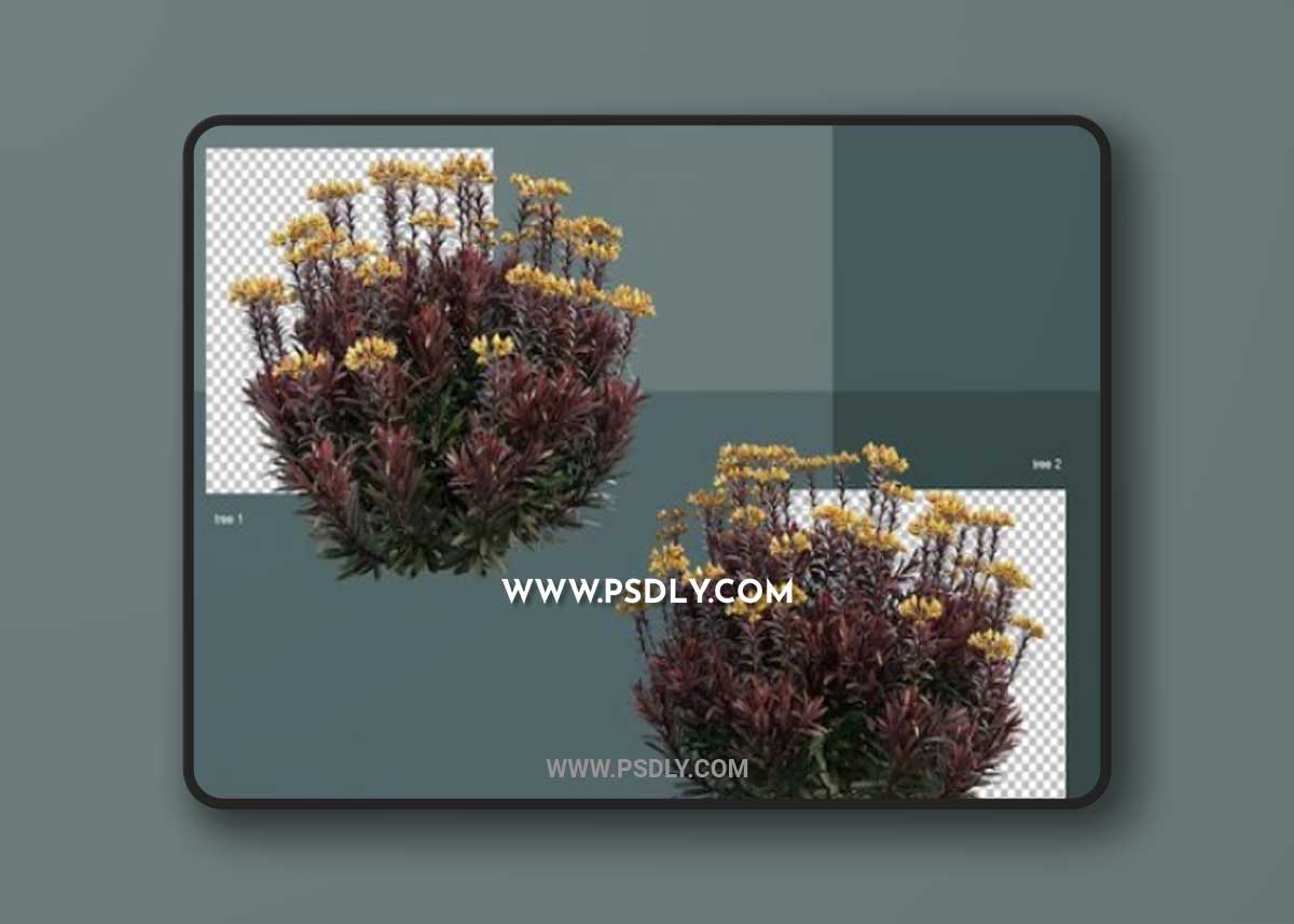 A wide variety of trees and shrubs 3D Model
