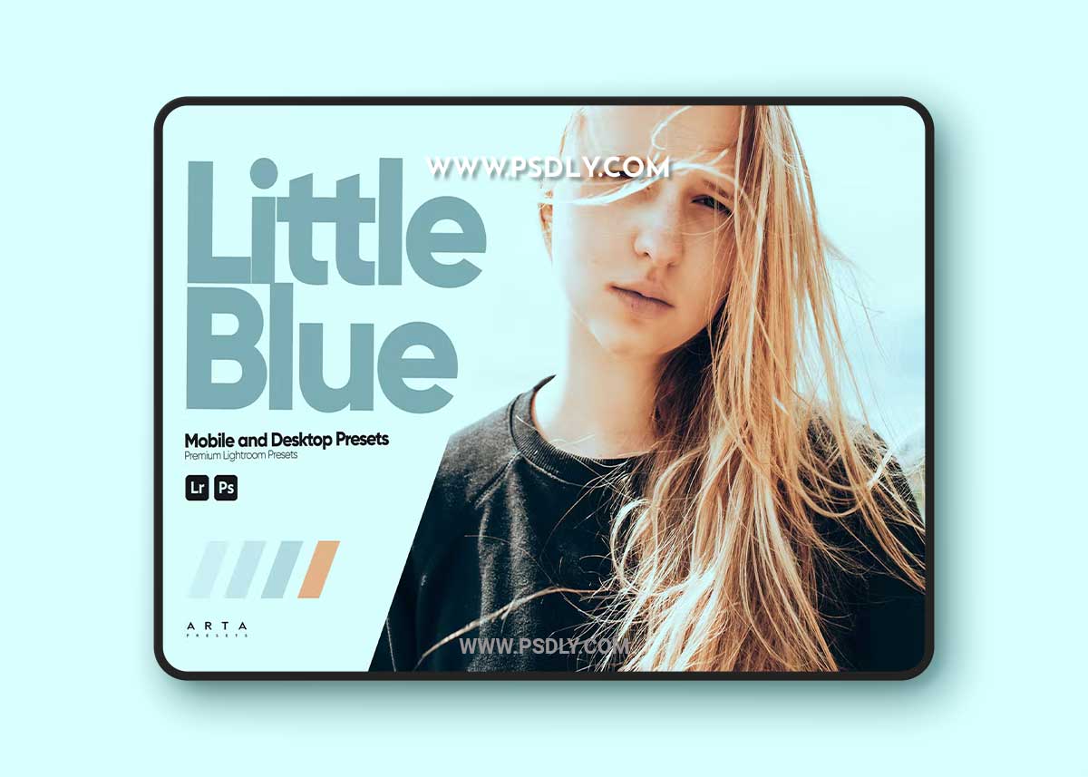 ARTA - Little Blue Presets for Lightroom