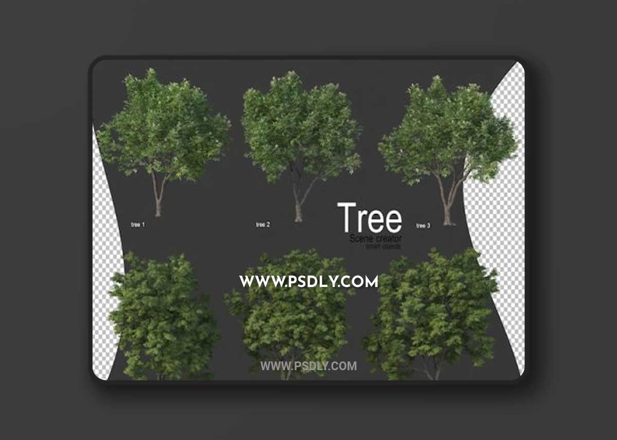 Beautiful various types of tree 3D Model