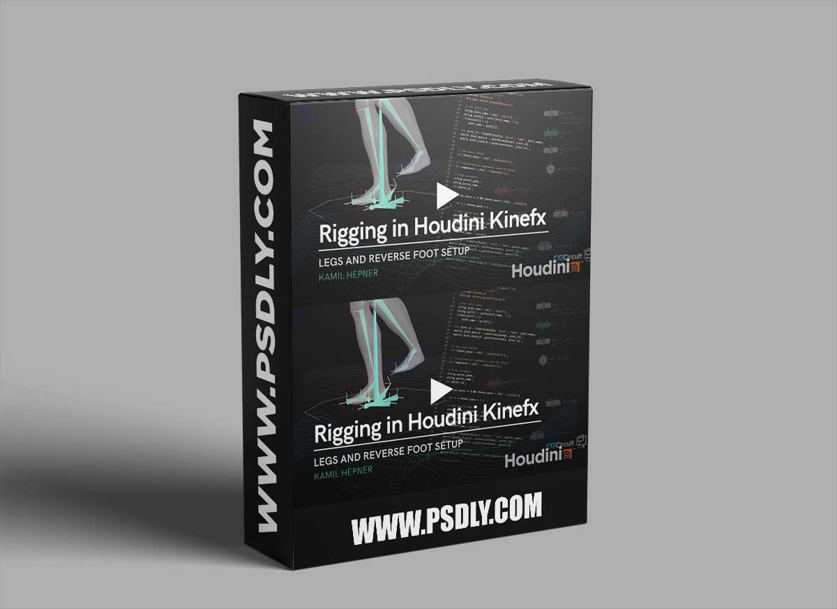 CG Circuit - Rigging in Houdini Kinefx - Houdini tutorial