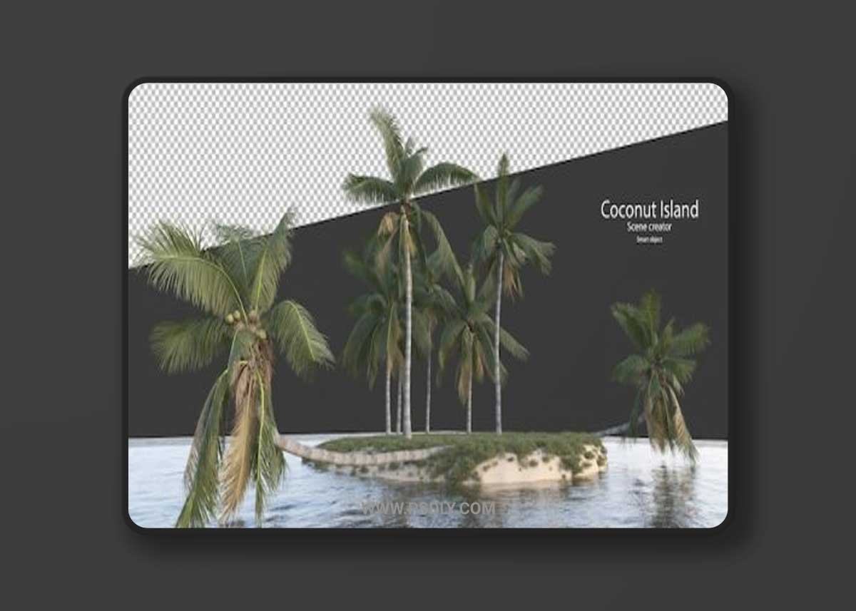 Coconut tree in 3d rendering