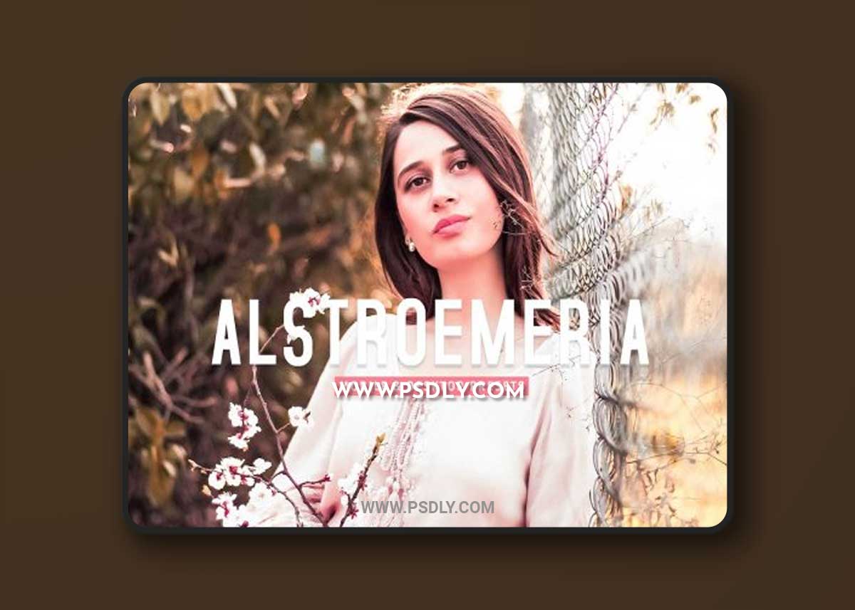 CreativeMarket - Alstroemeria Pro Lightroom Presets 7170385