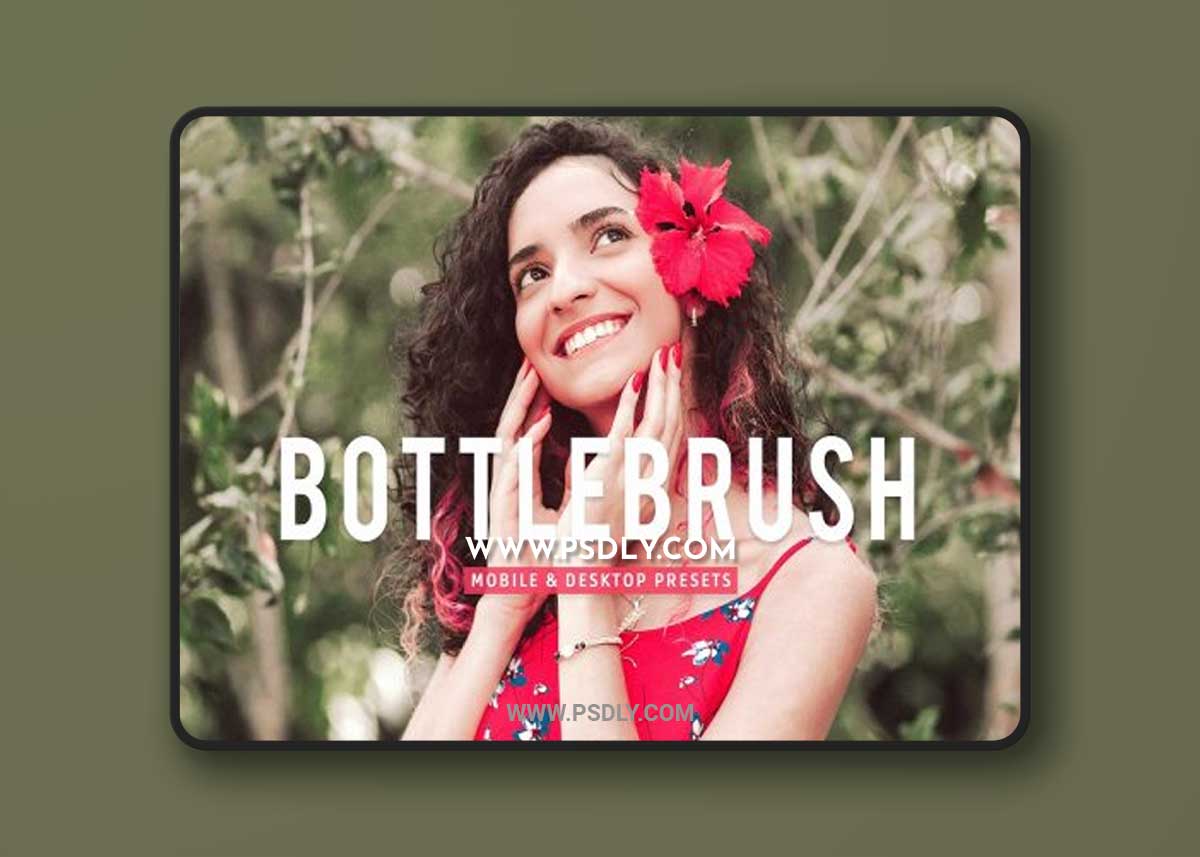 CreativeMarket - Bottlebrush Pro Lightroom Presets 7170393