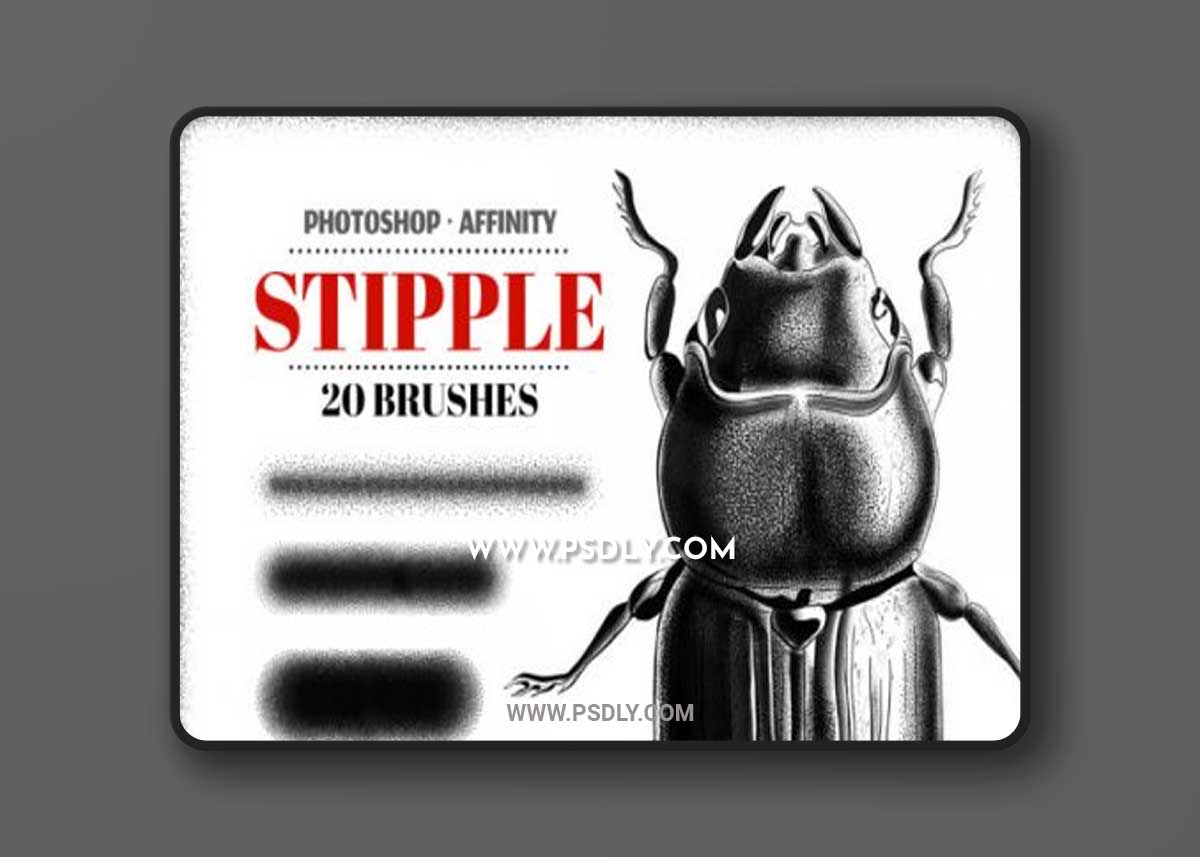 CreativeMarket - Stipple Photoshop Brushes 5802582