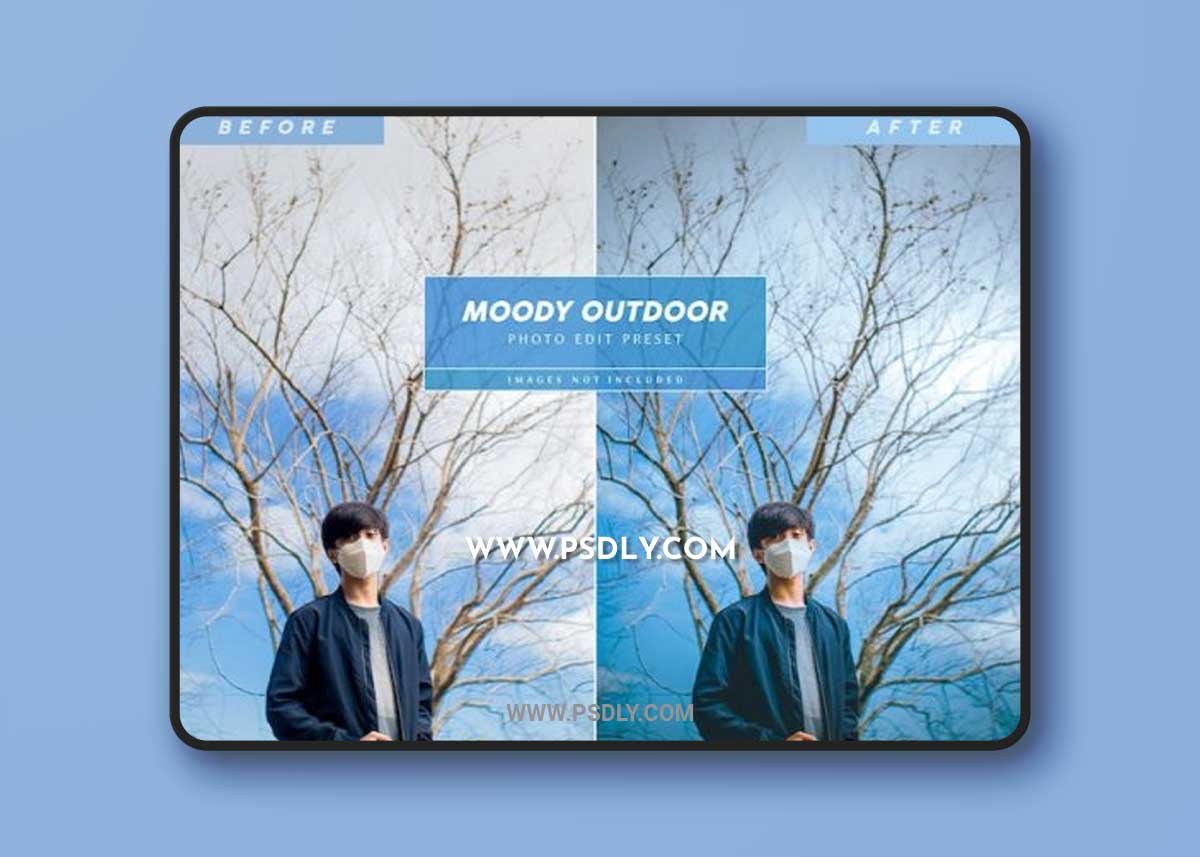 Editable moody outdoor photo preset