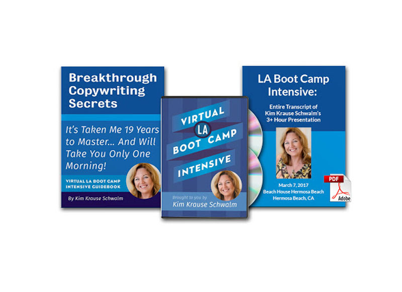 Kim Krause Schwalm Virtual LA Boot Camp Intensive Download