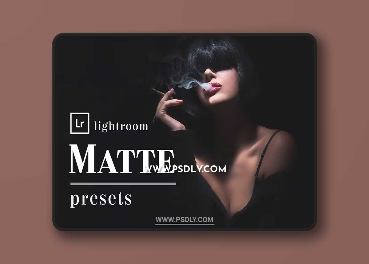 Matte Box - Actions and Presets