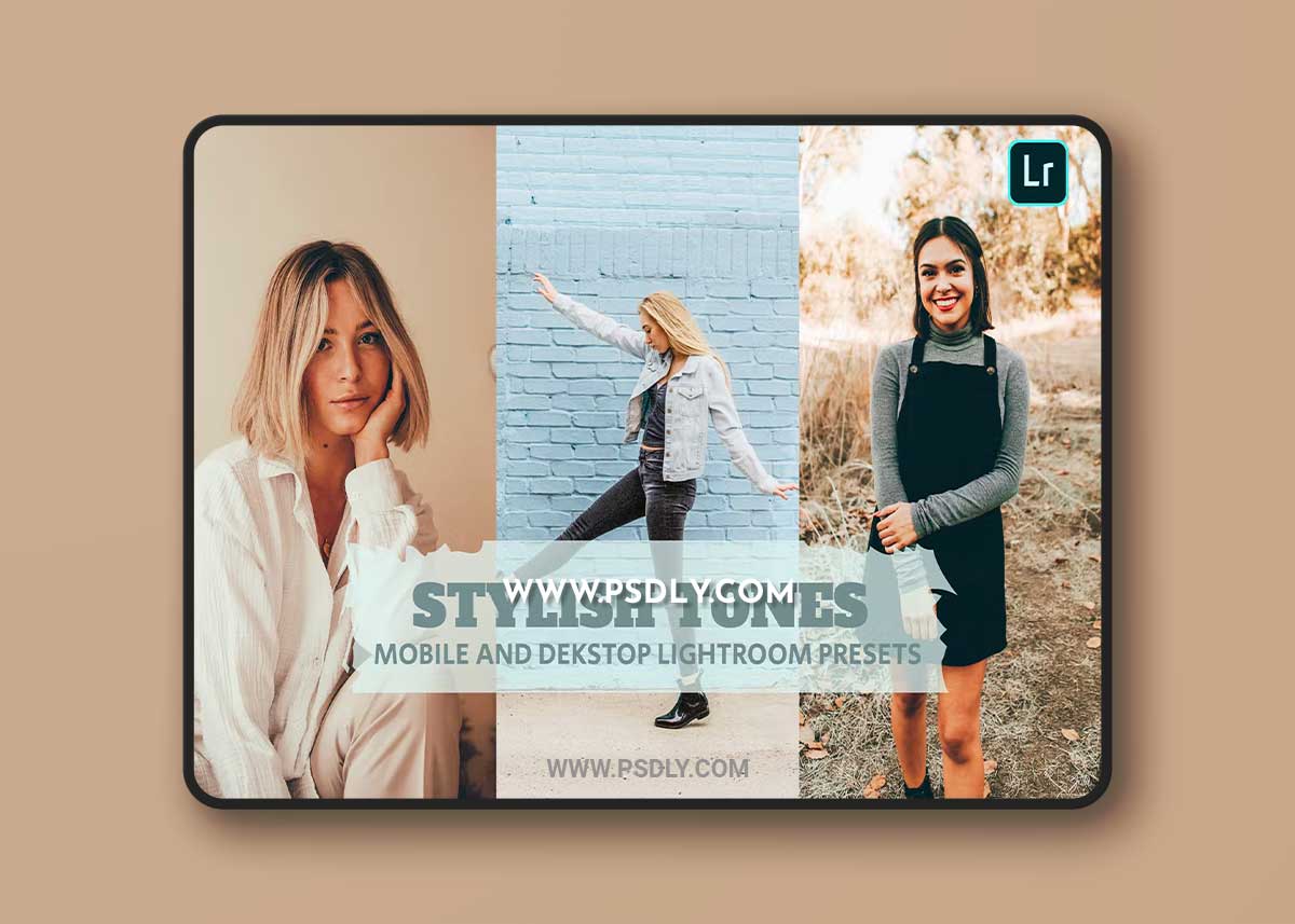 Stylish Tones Lightroom Presets Dekstop and Mobile