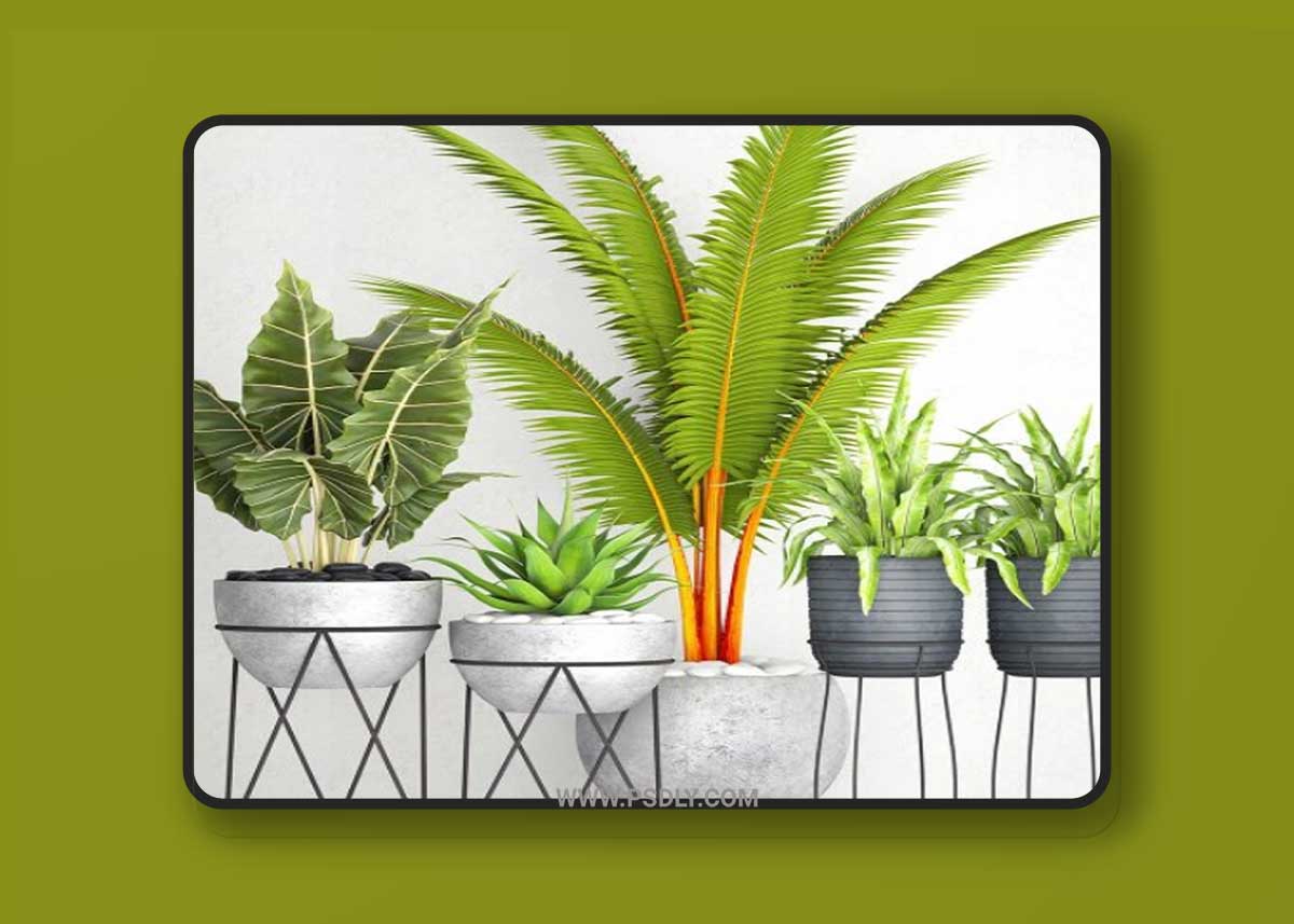 The collection of plants in pots 17 3D Moel