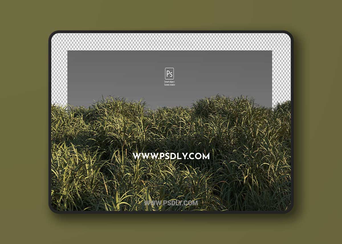The road through the field Premium Psd