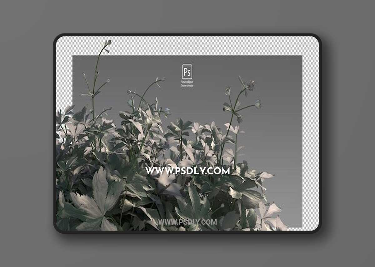 Variety of grasses flowers and small plants