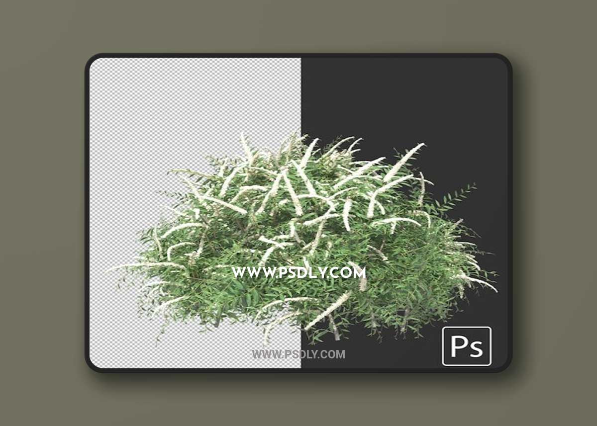 Variety of hedges shrubs and bushes