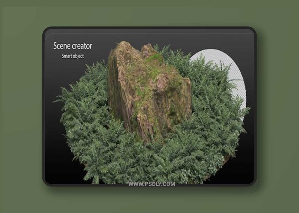 Variety of plants isolated trees clipping path Premium Psd