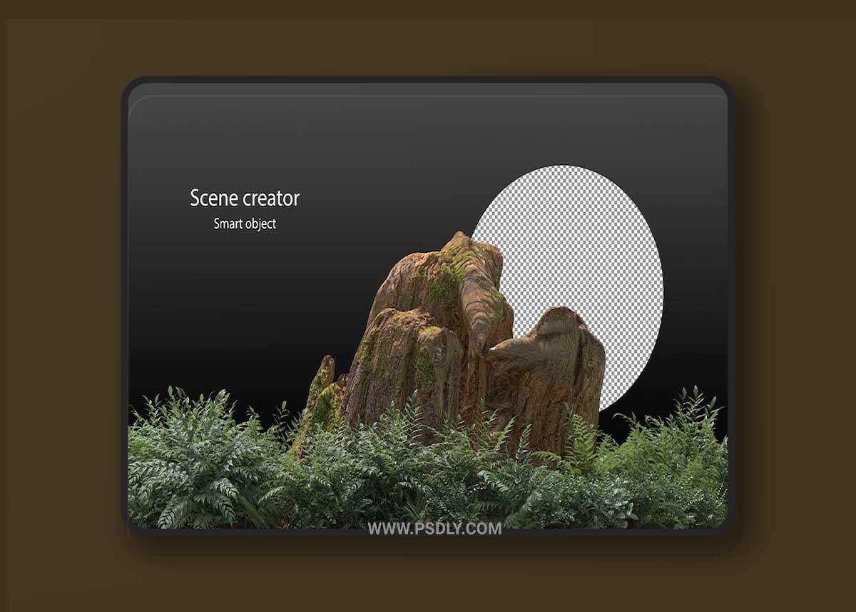 Variety of rock surrounded by small plants 02 Premium Psd