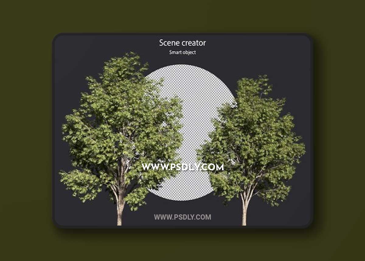 Various types of tree plants 3D Model