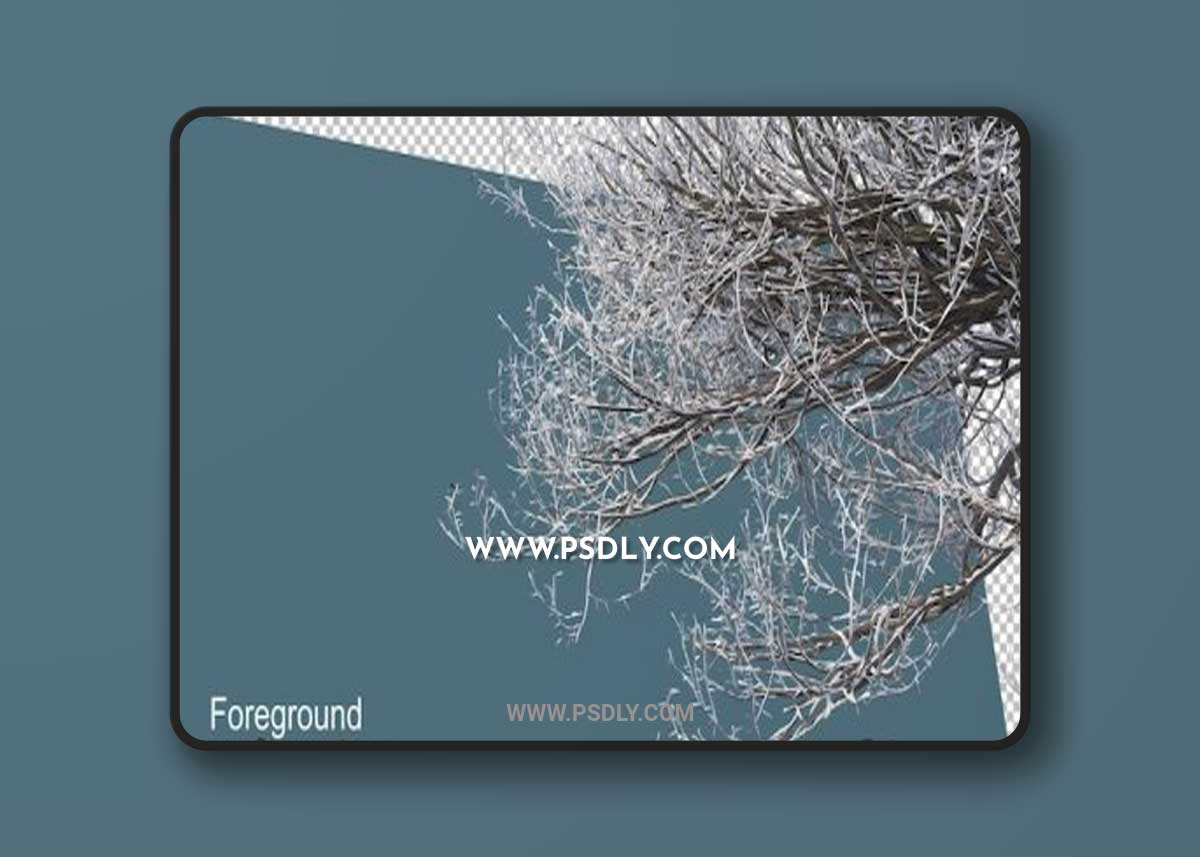 Various winter trees design 02 3D Model