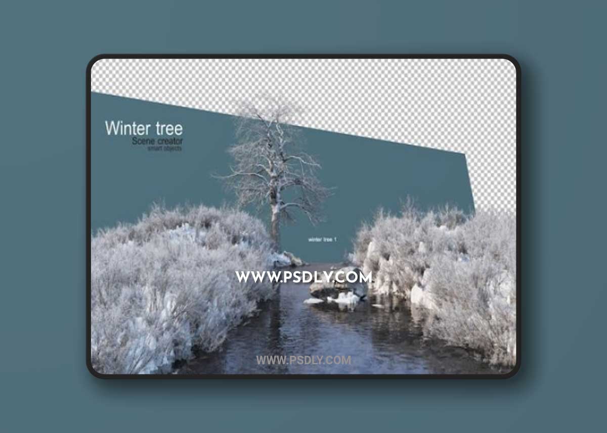 Various winter trees design isolated 3D Model