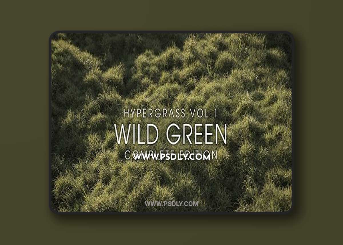 Vertex Library – HyperGrass 01 WildGreen 3D Model