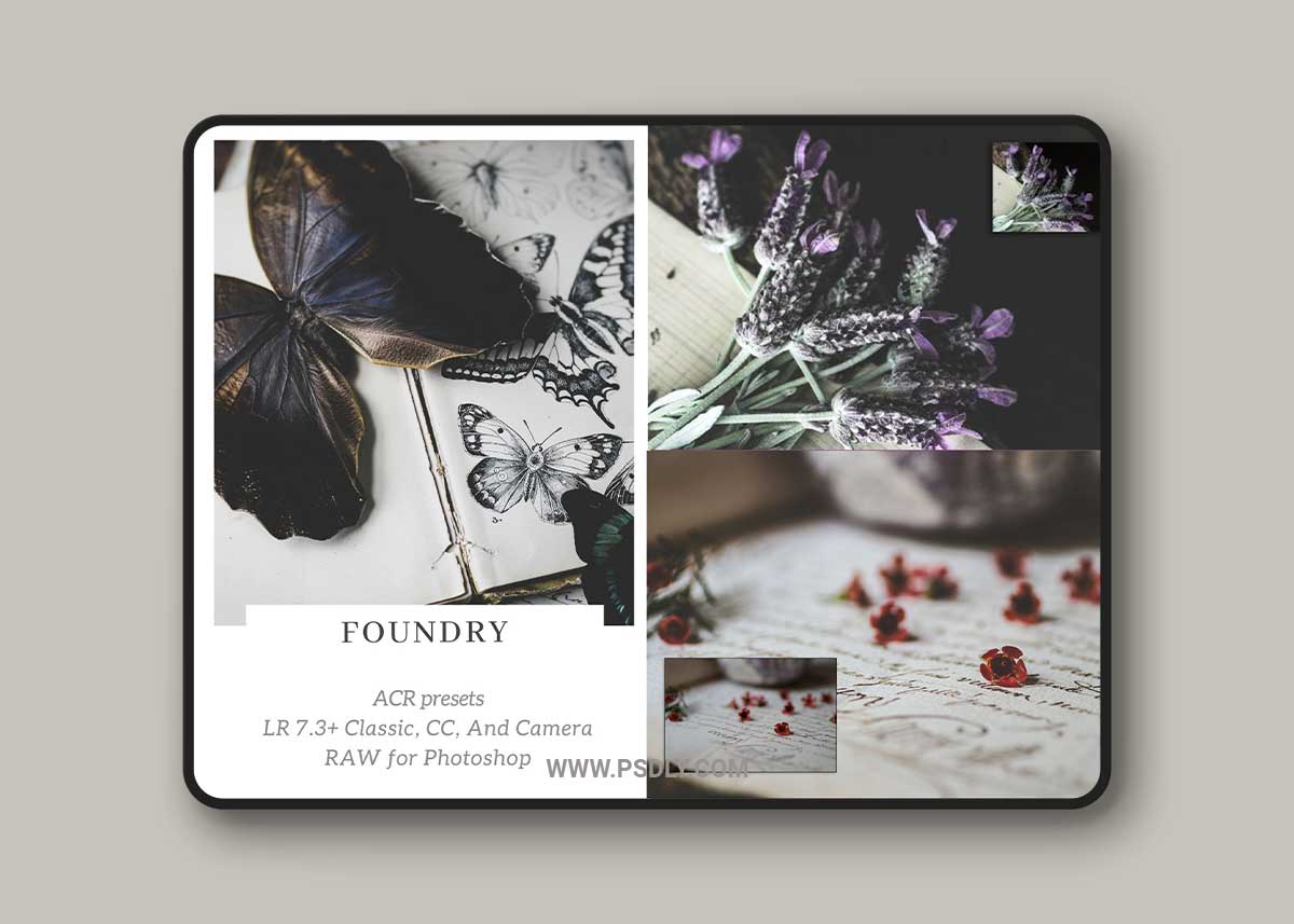 2 Lil Owls Foundry LR presets