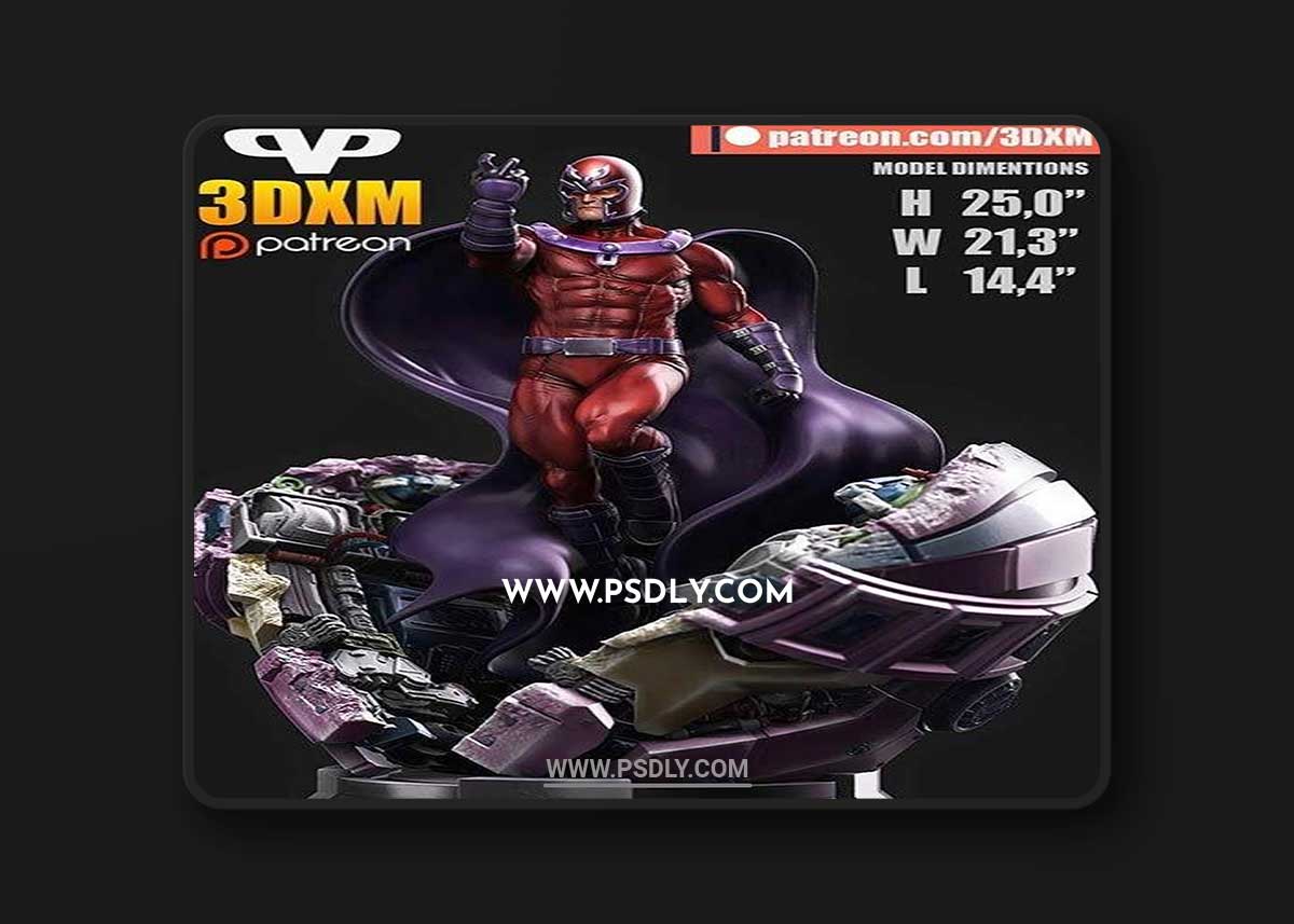 3D Print Models Magneto Extra Stuff 3D Model