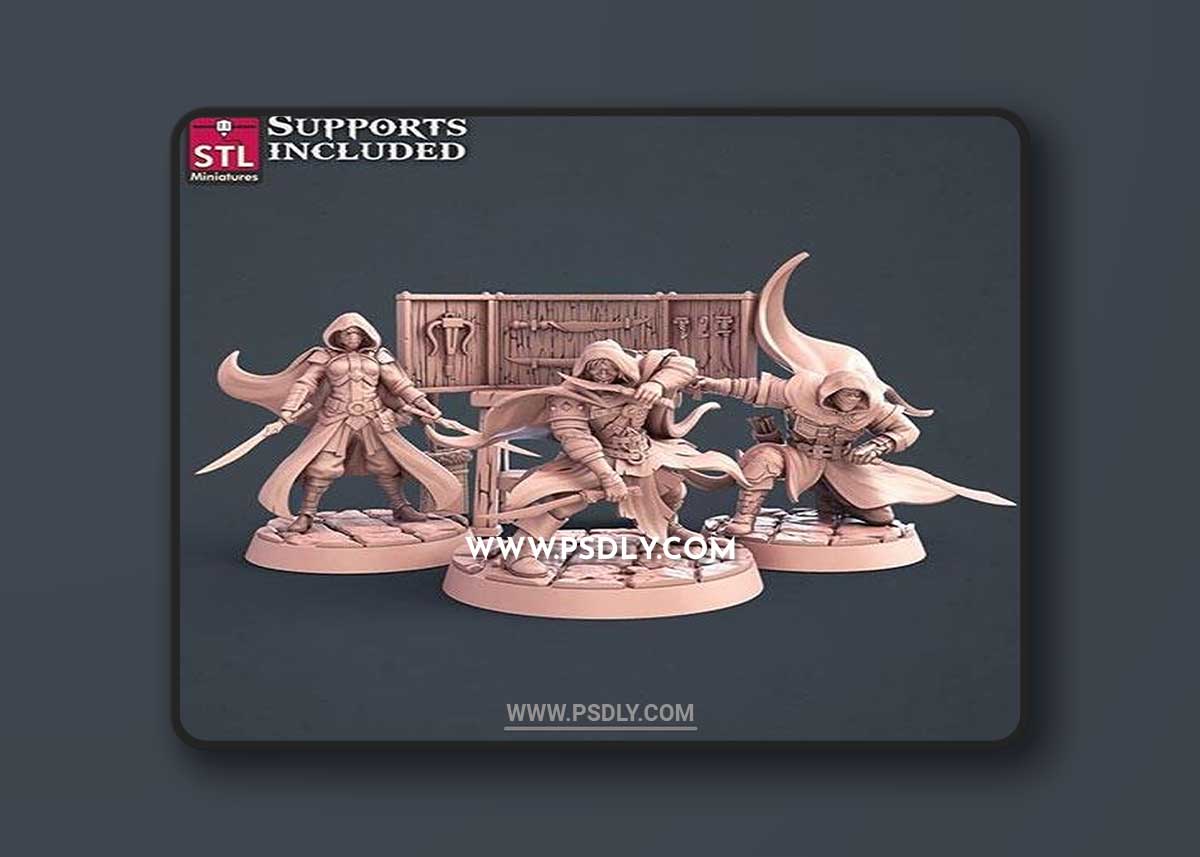 3D Print Models STL Miniatures - Assassins Set