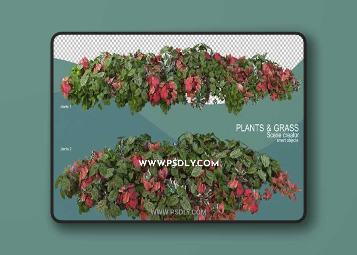 3d rendering of various plant arrangements