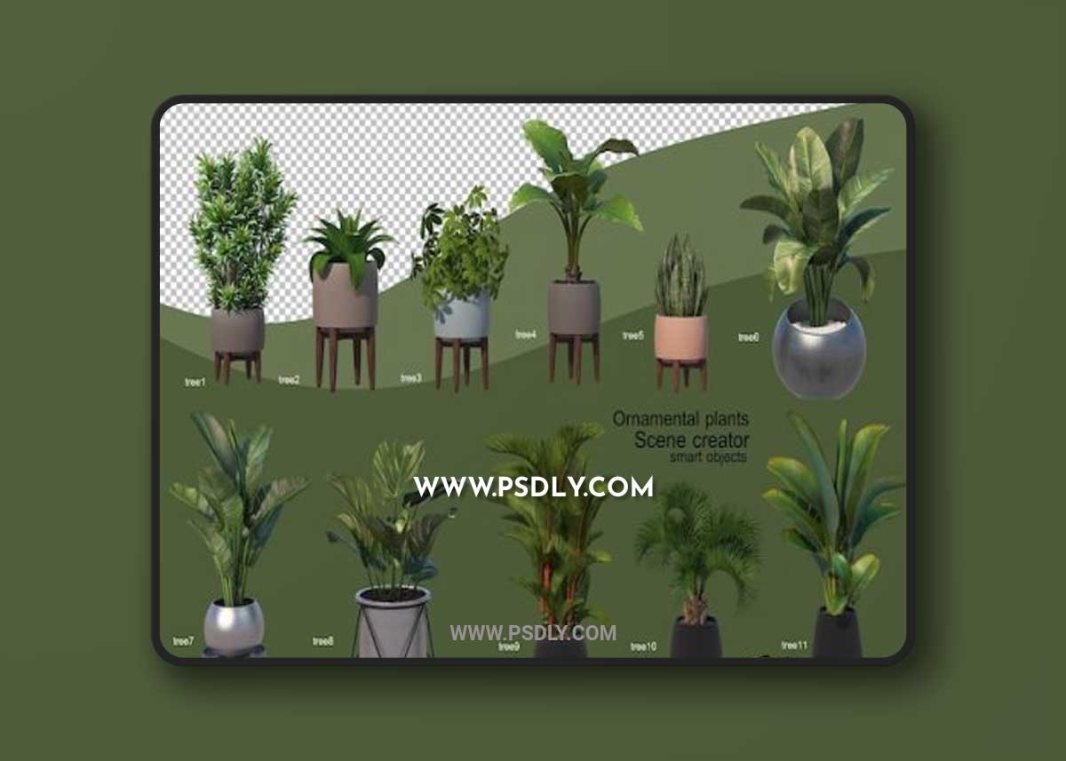 3d rendering of various types of plants