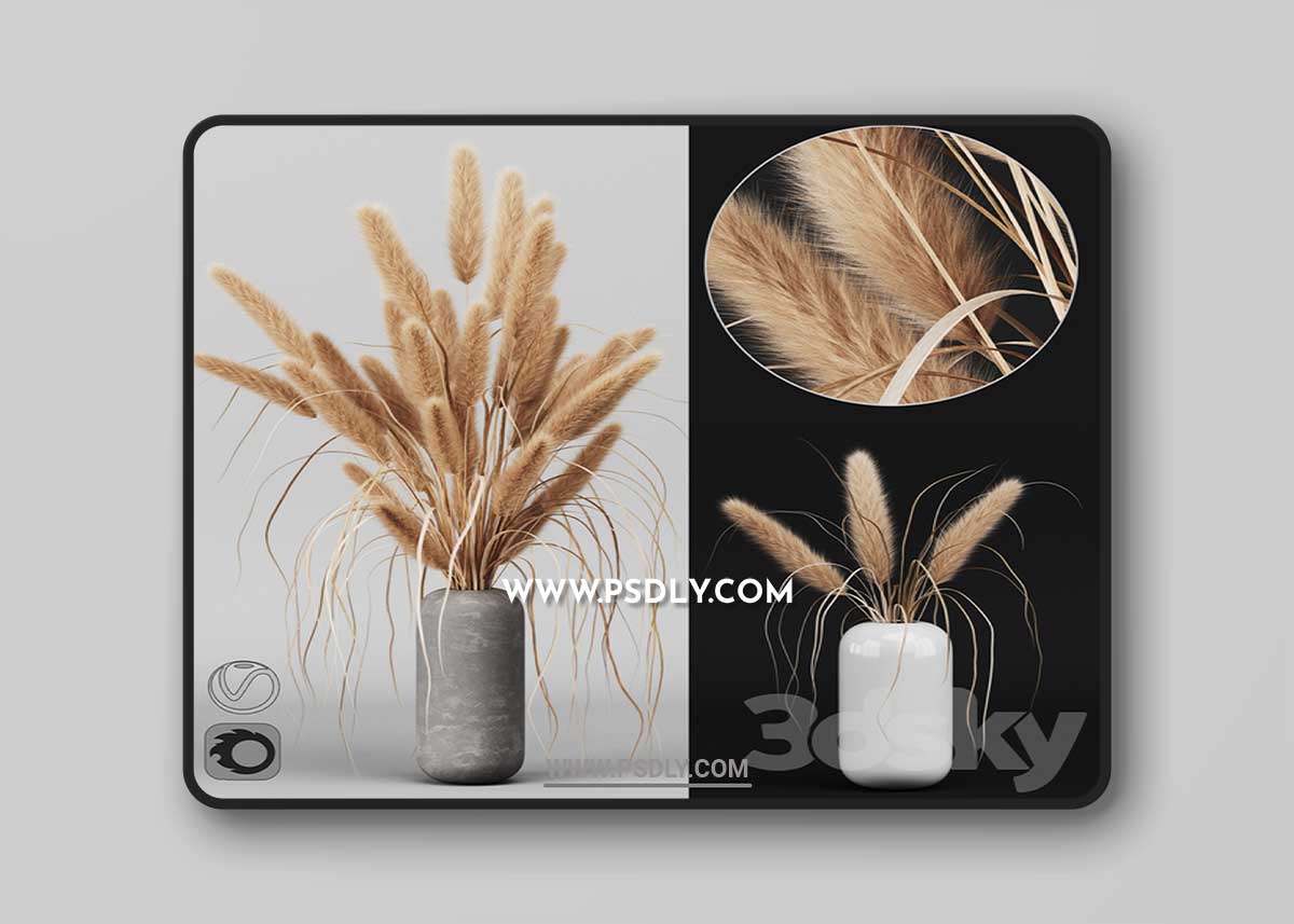 A bunch of Pampas 2 3D Model