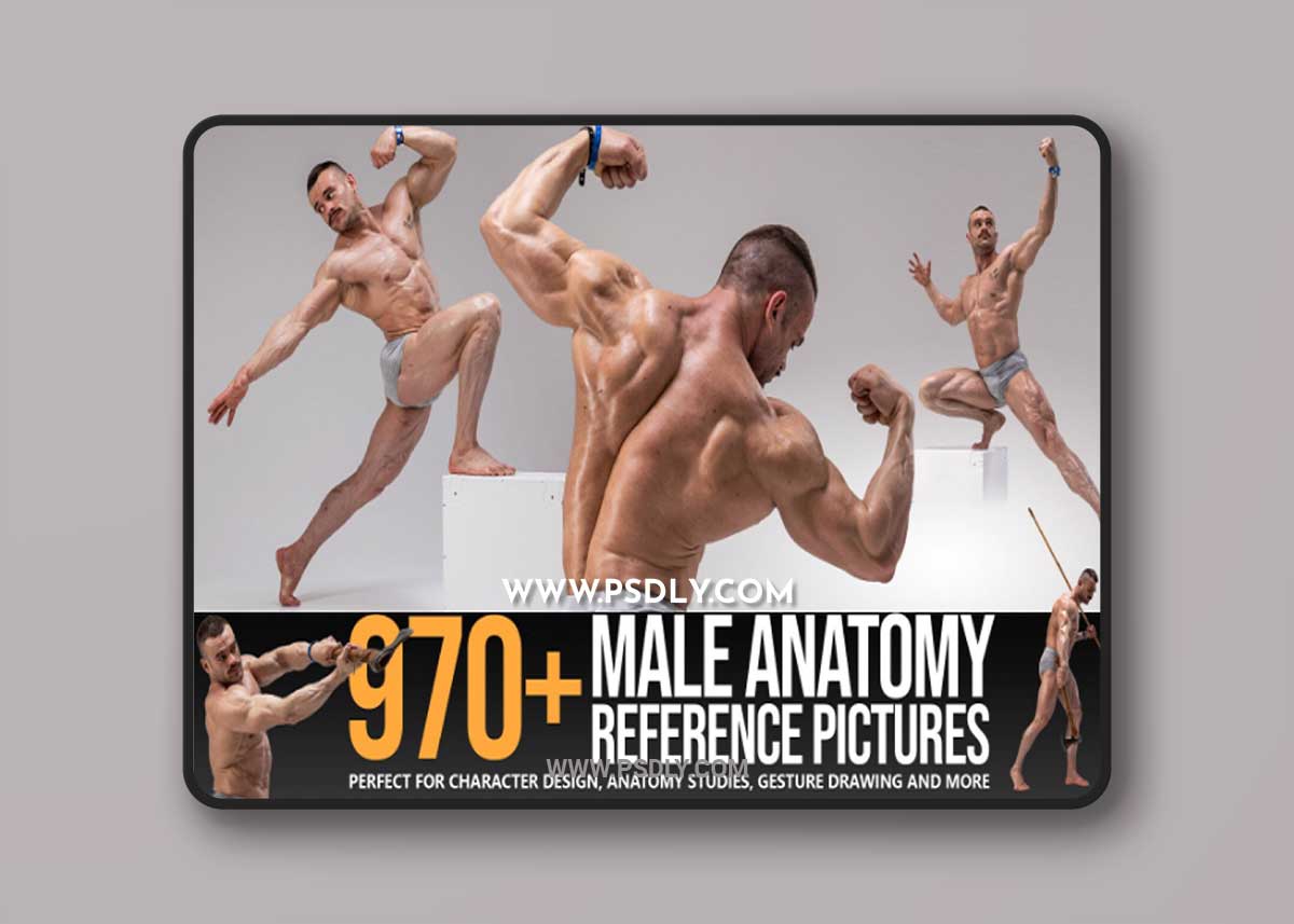 Artstation - Grafit studio - 970+ Male Anatomy Reference Pictures