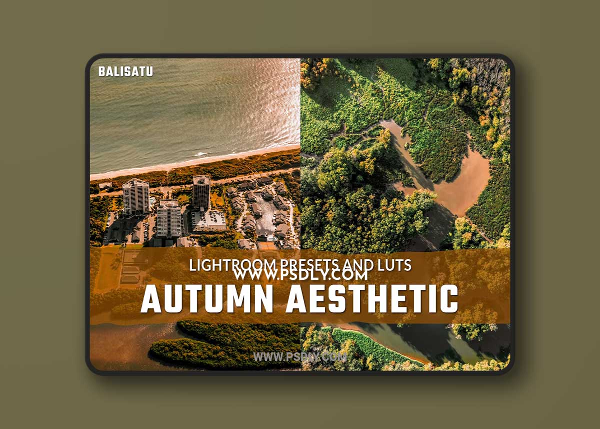 Autumn Aesthetic LUTs and Lightroom Presets