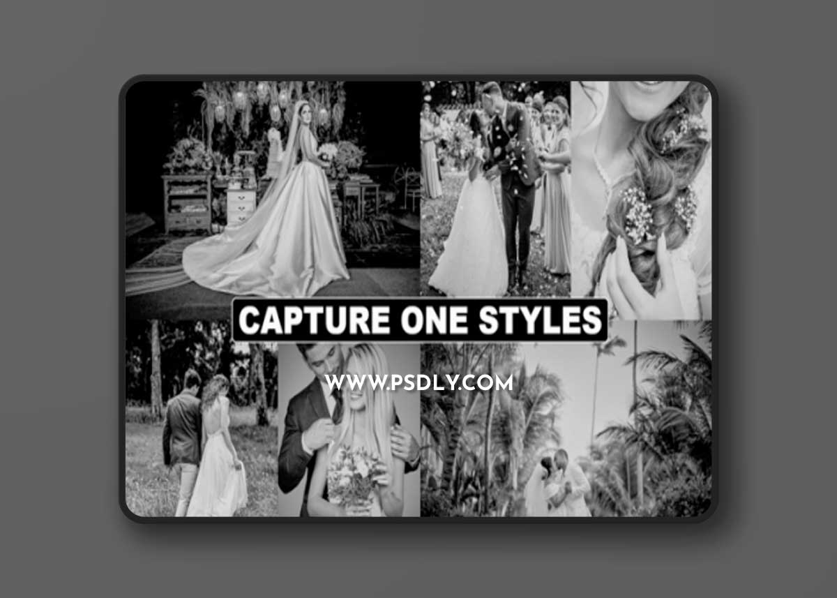 BW Tones Styles for Capture One