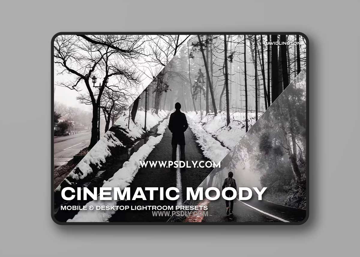 Cinematic Moody Lightroom Presets & LUTs