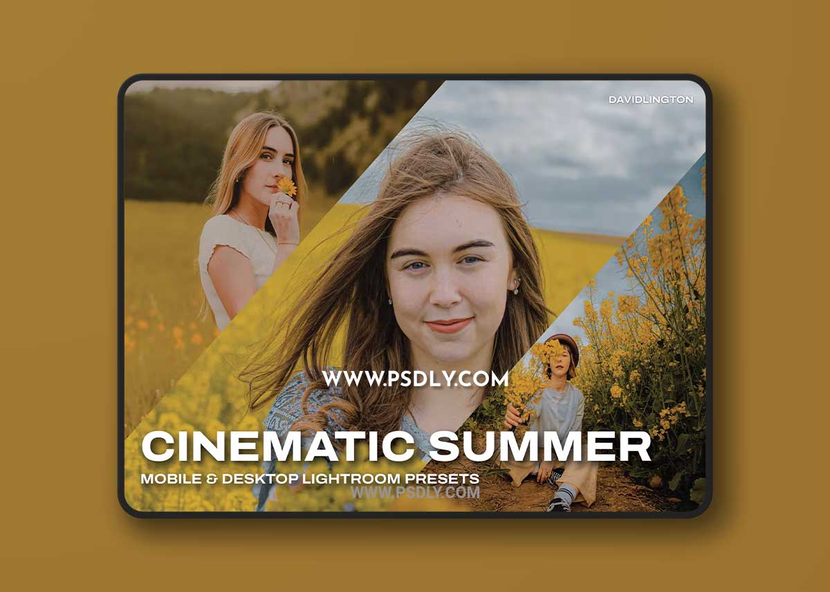 Cinematic Summer Lightroom Presets & LUTs