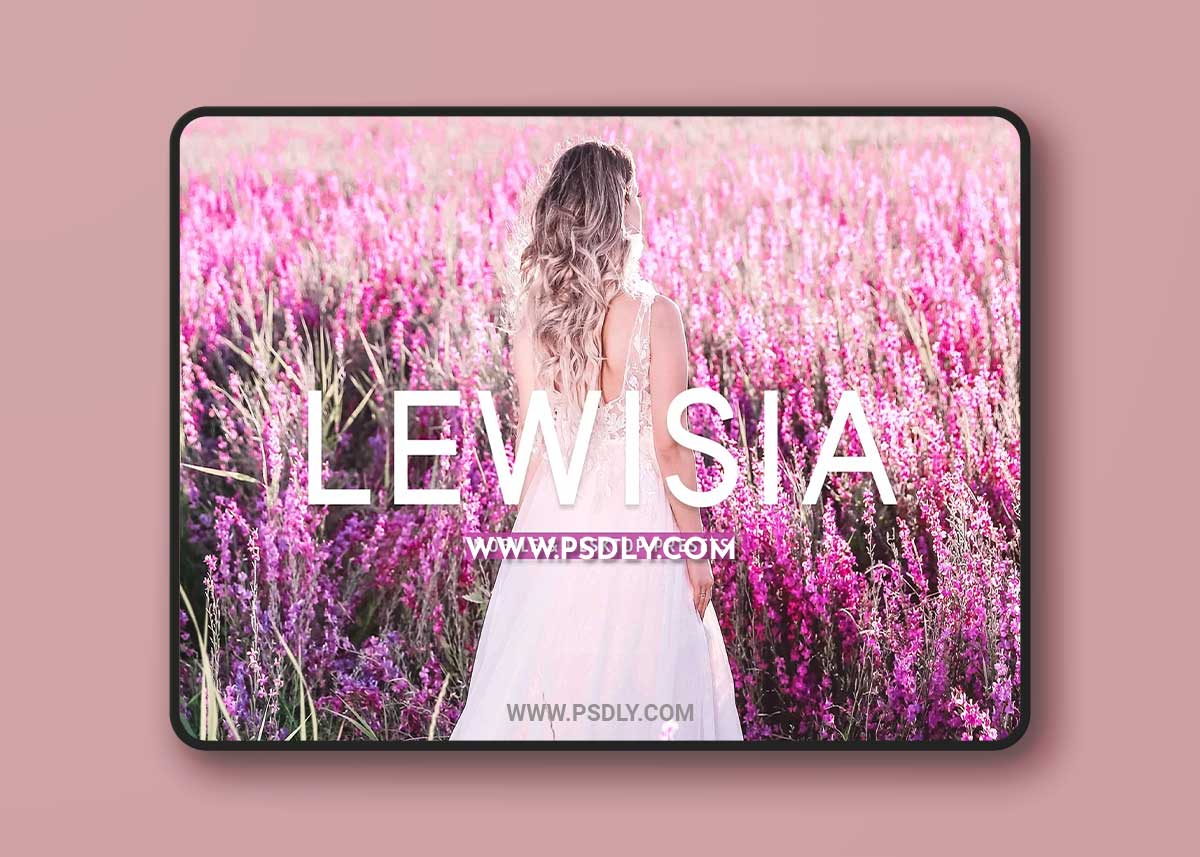CreativeMarket - Lewisia Pro Lightroom Presets 7193786