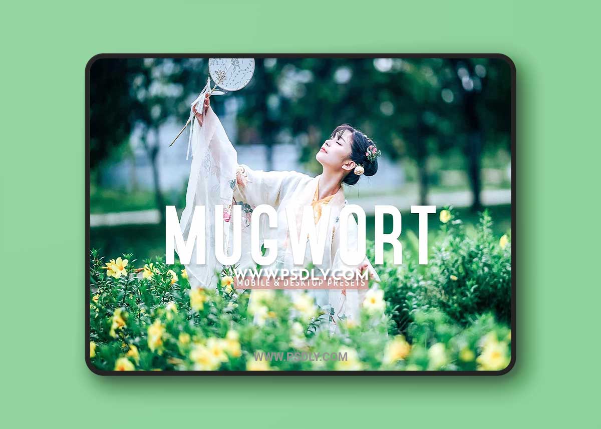 CreativeMarket - Mugwort Pro Lightroom Presets 7193789