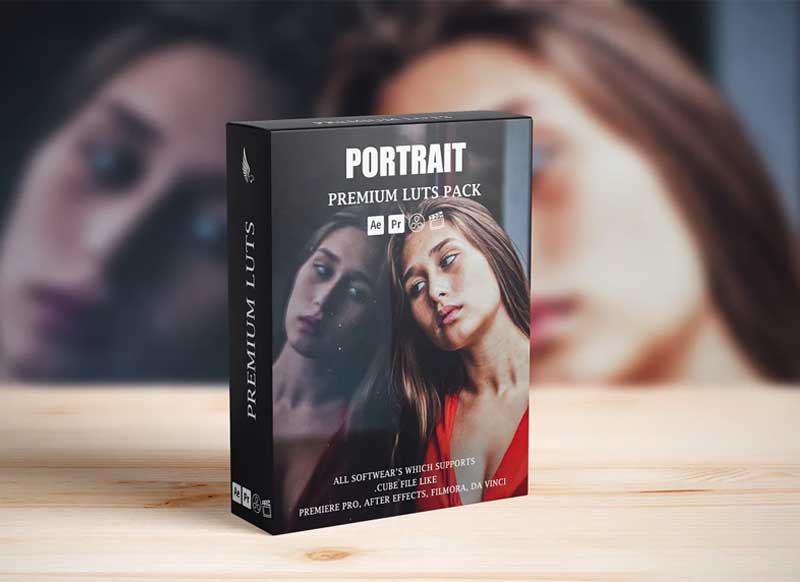 CreativeMarket - Portrait Cinematic LUTs 6853974