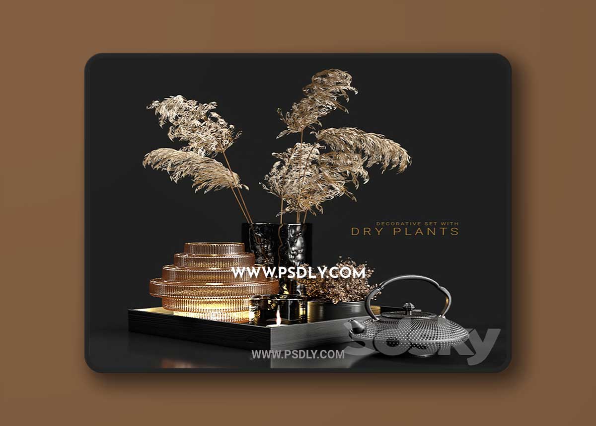 Decorative set with dry plants 3