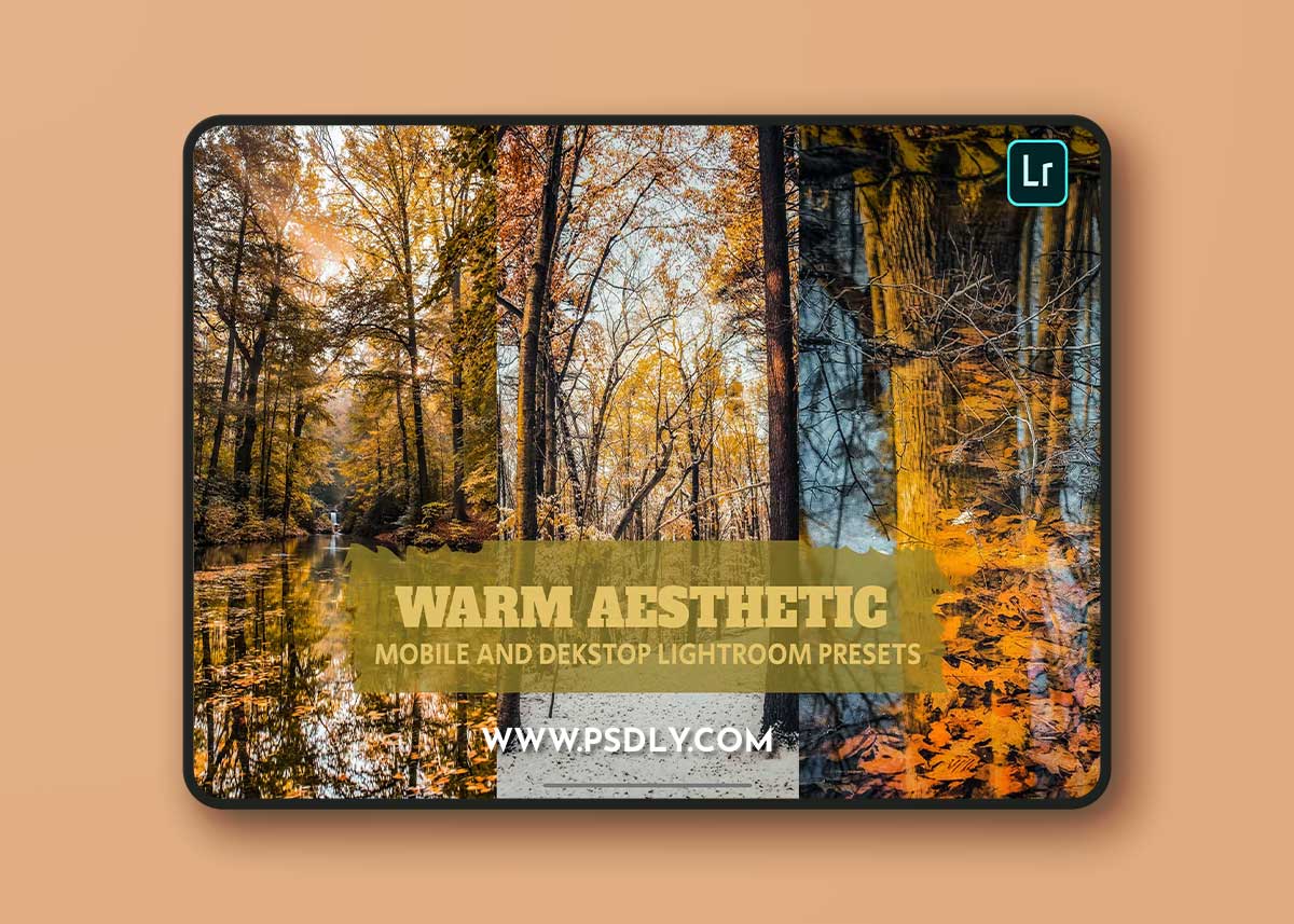 Warm Aesthetic Lightroom Presets Dekstop Mobile BWXVKUQ