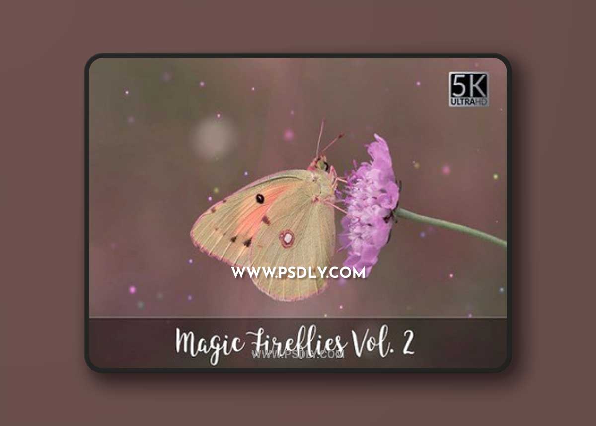 5K Magic Fireflies Vol. 2