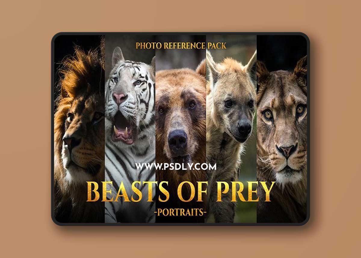 Artstation – Reference Pack Collection 2 June 2022