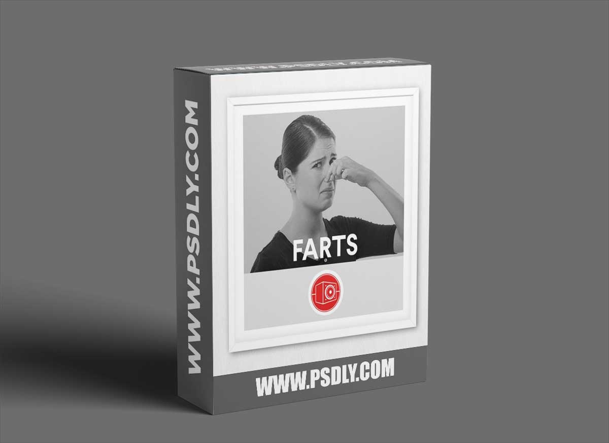 Big Room Sound Farts WAV